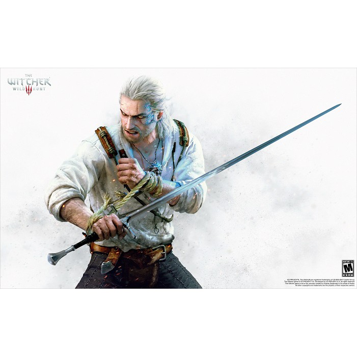 Poster The Witcher 89x55cm