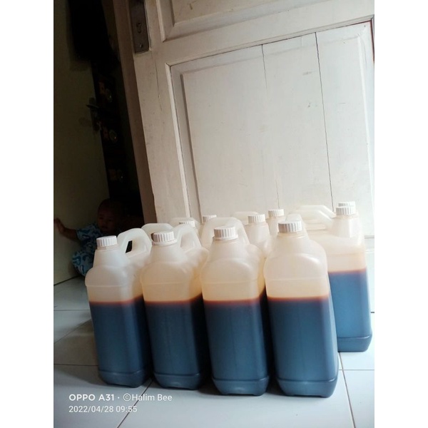 

MADU MURNI AKASIA CARPA 5KG (PROMO)