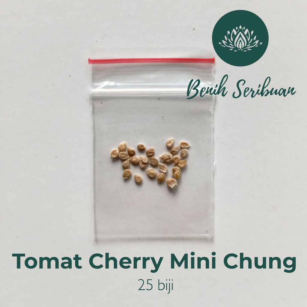 Benih Seribuan - 25 Benih Sayuran Tomat Cherry Merah Mini Chung Unggul