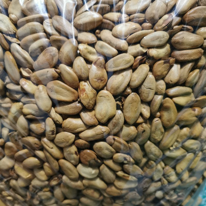 400gr Kacang Kedawung Matang - Kedaung Camilan Sehat