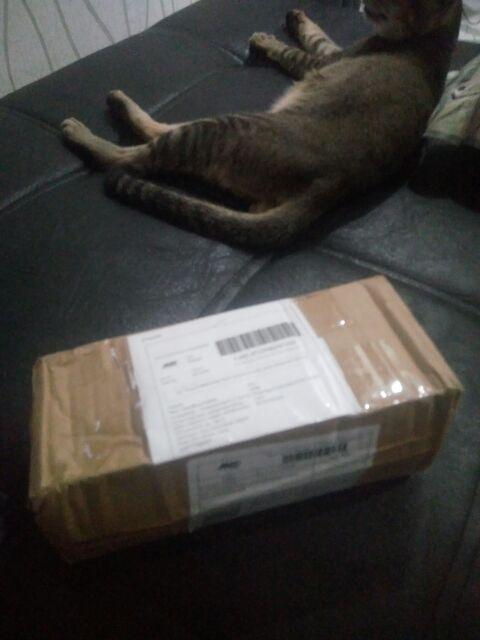 Tokyo 1 Tempat Botol Sabun Cair Lady Hand Soap 490ml 070360 ~< Readystockkk >~