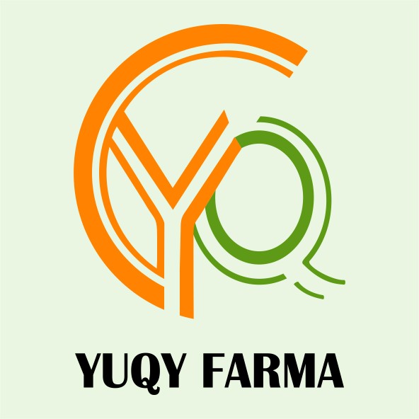 Desain Logo Dan Olshop Terbaru 2020 Profesional Corel Photoshop Sehari Jadi Revisi Garansi