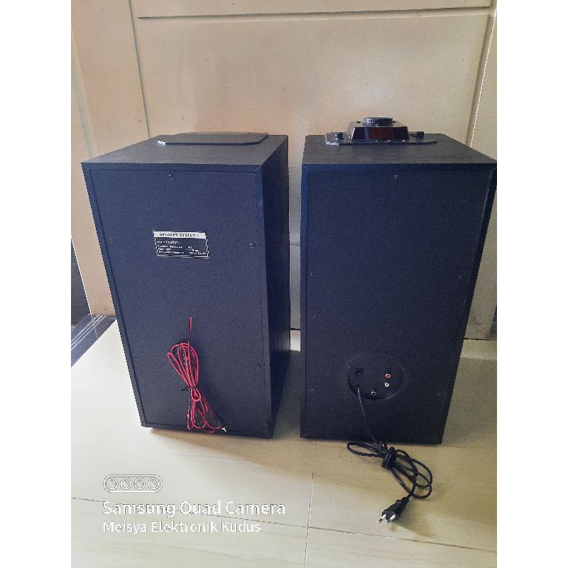 Spiker Aktif Polytron PAS 8E12