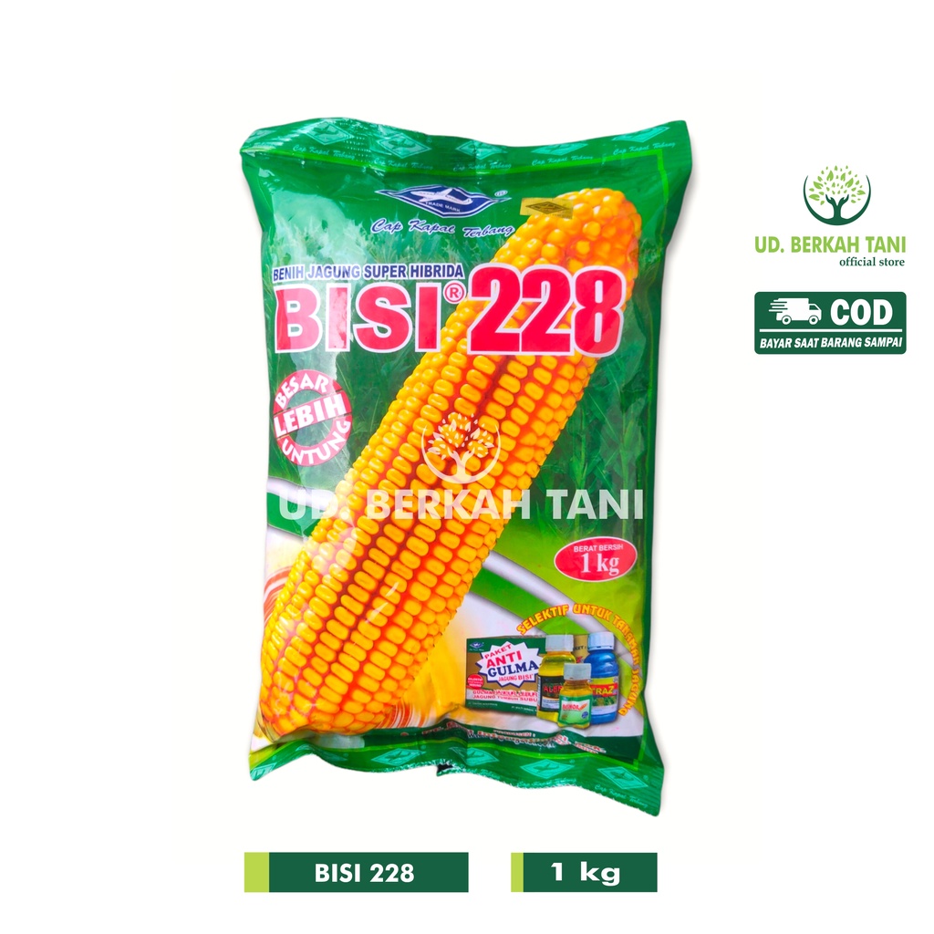 Benih Jagung Hibrida BISI 228 kemasan 1 kg