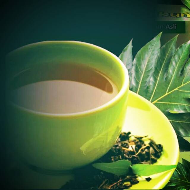 

TEH DAUN SUKUN