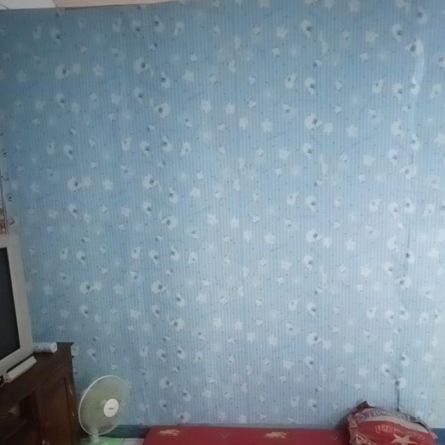 Promo Wallpaper Dinding Motif Anak Hello Kitty Doraemon Keropi Spongebob Cars Tayo