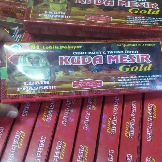 KAPSUL KUDA MESIR ORIGINAL