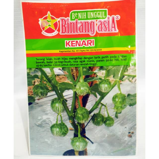 Terong lalap KENARI 10 gr