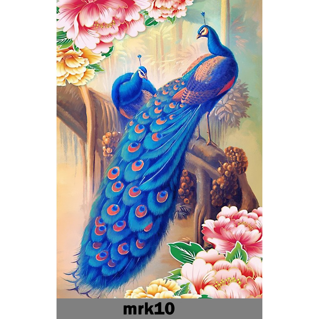 1070+ Gambar Burung Merak Poster Gratis Terbaik