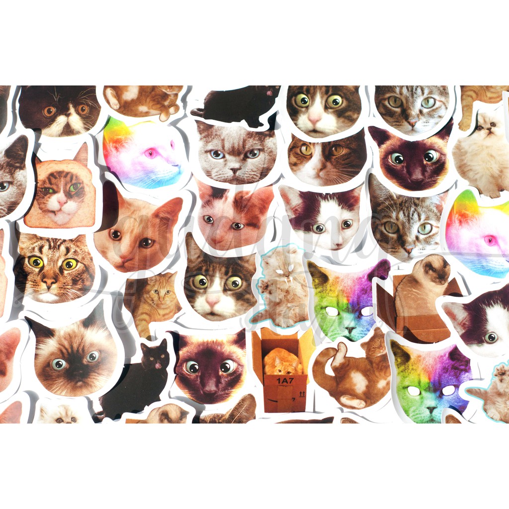 Stiker Foto Kepala Kucing Sticker Cats Head Unik DIY Scarpbook GH 303712