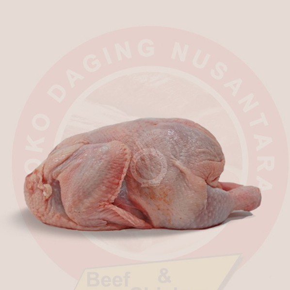 

Ayam Broiler Utuh Beku 800-900GR
