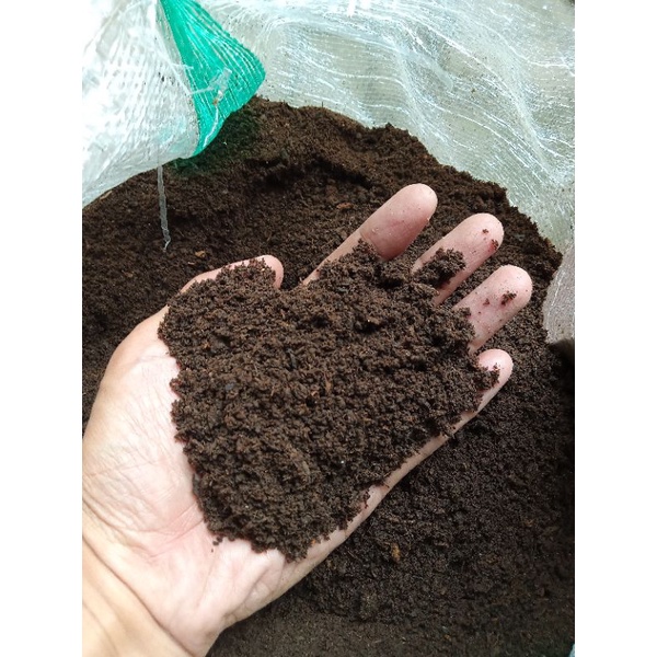 Media tanam sekam bakar plus bahan kandungan unsur hara siap tanam