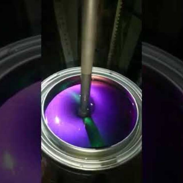 Cat bunglon chameleon color.