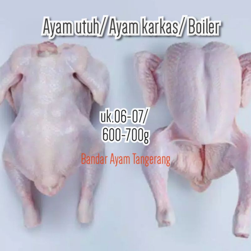 Ayam Boiler/ Ayam Potong/ Ayam karkas uk.600-700gr