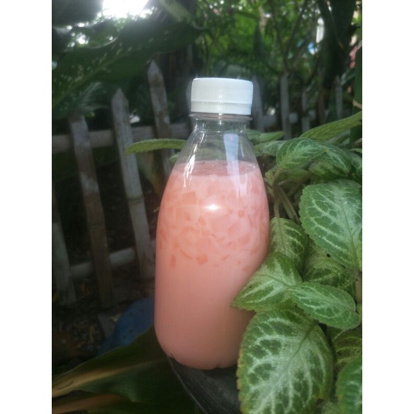 

Susu jelly rasa Coco pandan - minuman segar penunda lapar