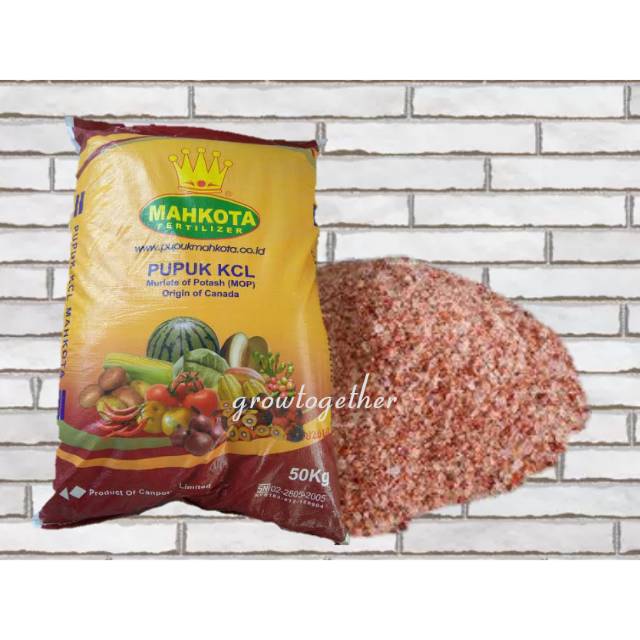 Pupuk KCL Mahkota Repack 500 gram