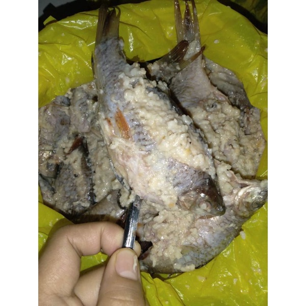 BEKASAM / PEKASAM IKAN NILA KHAS SUMATERA