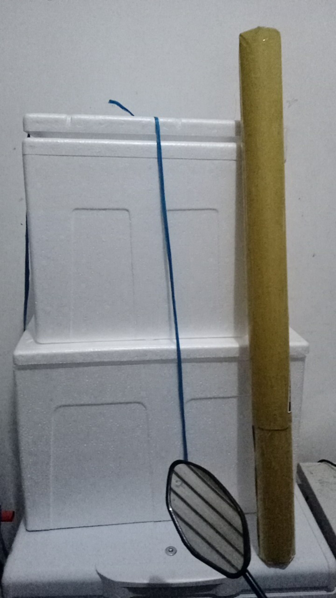 Box Sterofoam / Cool Box Besar