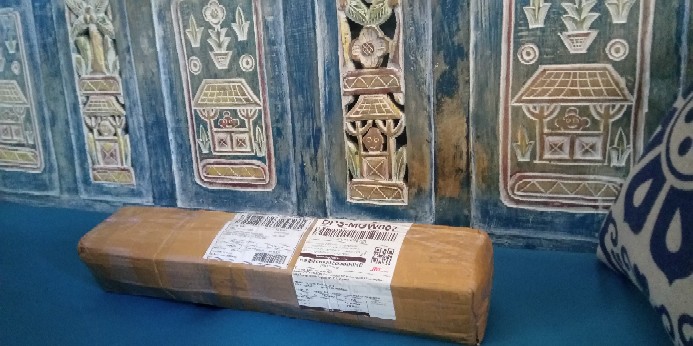 Tanaman Hias Caladium Bercak Merah Keladi Bercak Darah Garis Putih