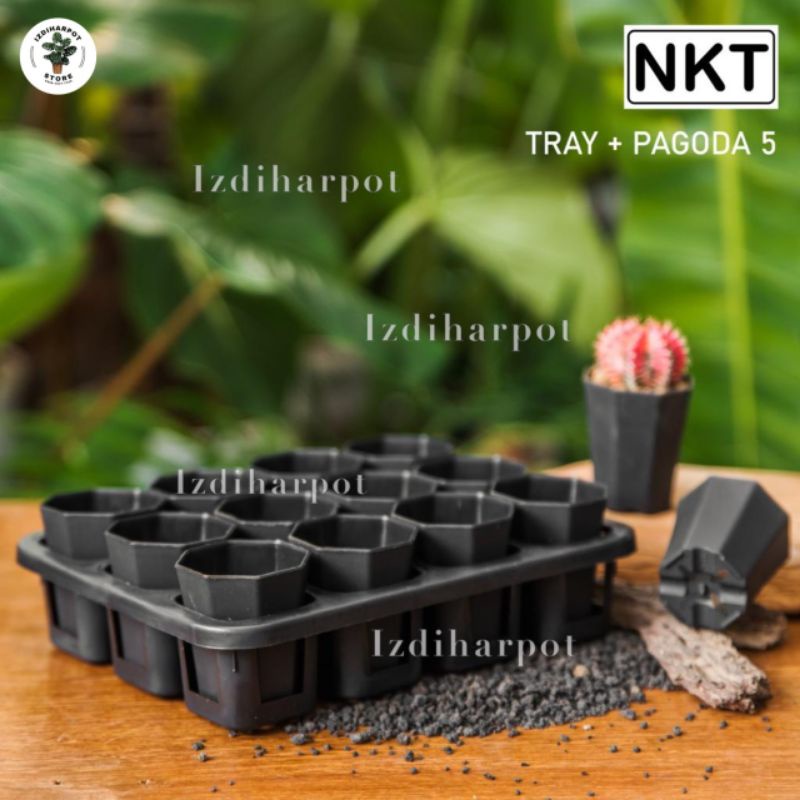 1 set Tray + POT BUNGA NKT PAGODA MINI 5CM HITAM | tray semai bibit