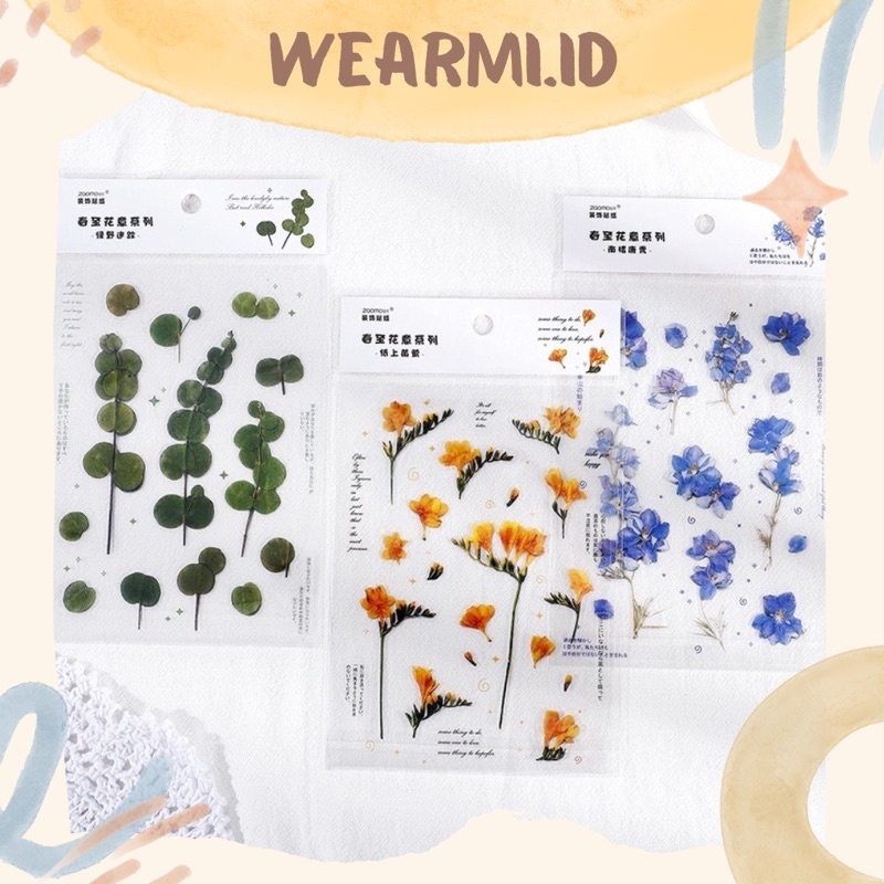 

Vintage transparent Zaomo PET sticker lembar gypsophila flowers retro plants tanaman stiker lembar