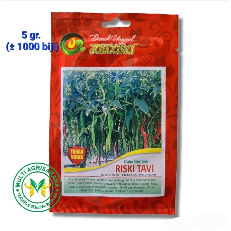 Isi 5 gr. Benih cabe merah keriting Tahan Virus RISKI TAVI bibit cabai keriting bersertifikat
