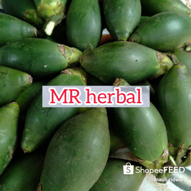 

Buah pinang muda segar per 500 gram