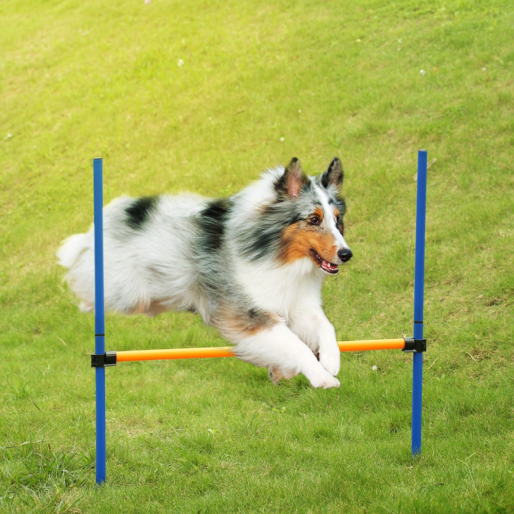 Outdoor Pet Dog Agility Sports Games Training Equipment Dogs Jump Hurdle Bar Obedience Show Activit Shopee Indonesia