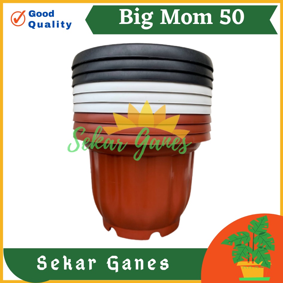 Sekarganes ONLY SAMEDAY AND INSTAN Pot BIGMOM 50 Putih Hitam Merah Bata Merah Coklat Terracota Terracotta  - Pot Besar Jumbo 50cm Pot Besar Plastik Bahan Tebal - Pot Besar Jumbo 100cm 50cm 40cm Putih Tinggi Hitam