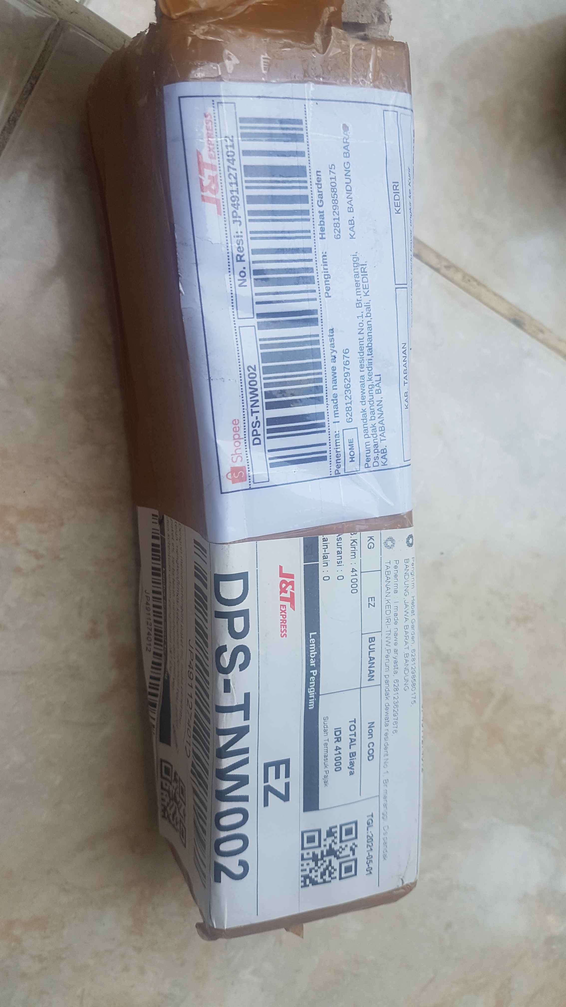 African Violces Bunga Blue Bicollor - Hebat Garden3