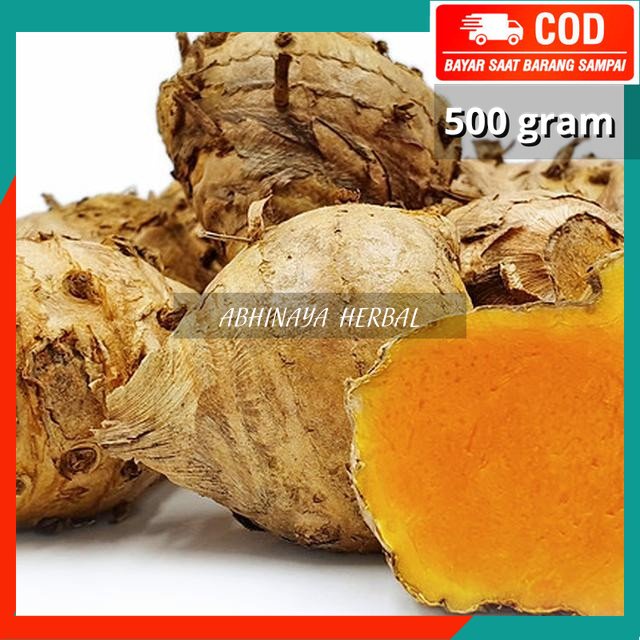 

TEMULAWAK SEGAR - KUNIR GEDE HERBAL 500 gram