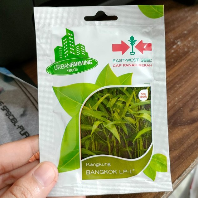 UF - benih KANGKUNG BANGKOK isi 500 biji - benih KANGKUNG SERIMPI isi 500 biji - bibit kangkung - kangkung daun sempit - kangkung daun lebar - urban farming panah merah