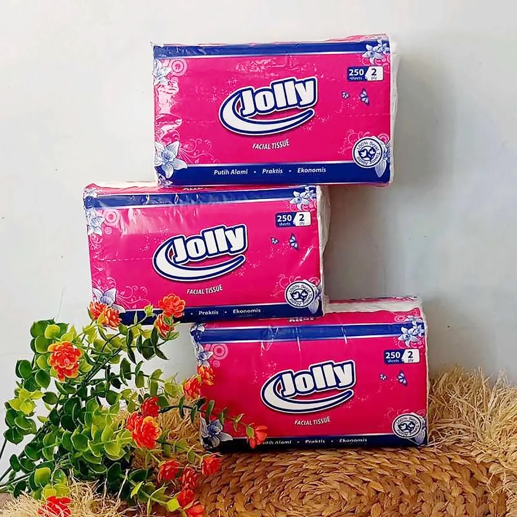 Bisa COD Facial Tissue Jolly by Paseo 4 pack (4 pcs x 250 sheets 2 ply)