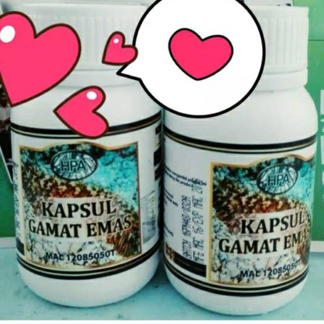 Kapsul Gamat emas HPA