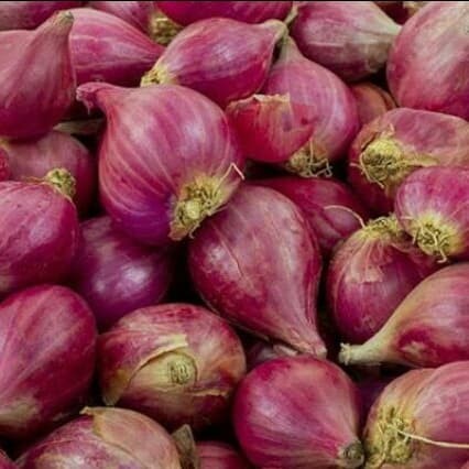

BAWANG MERAH BREBES SUPER