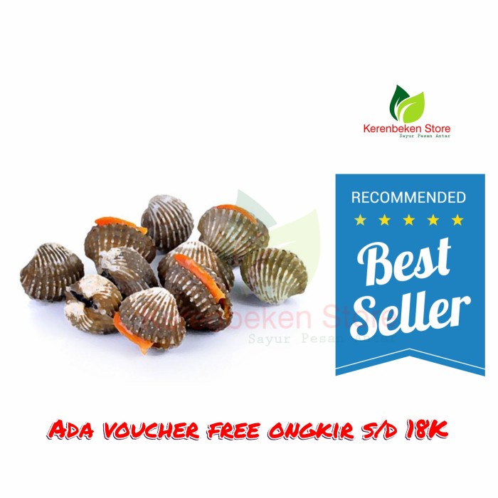 

kerang dara per 500gr