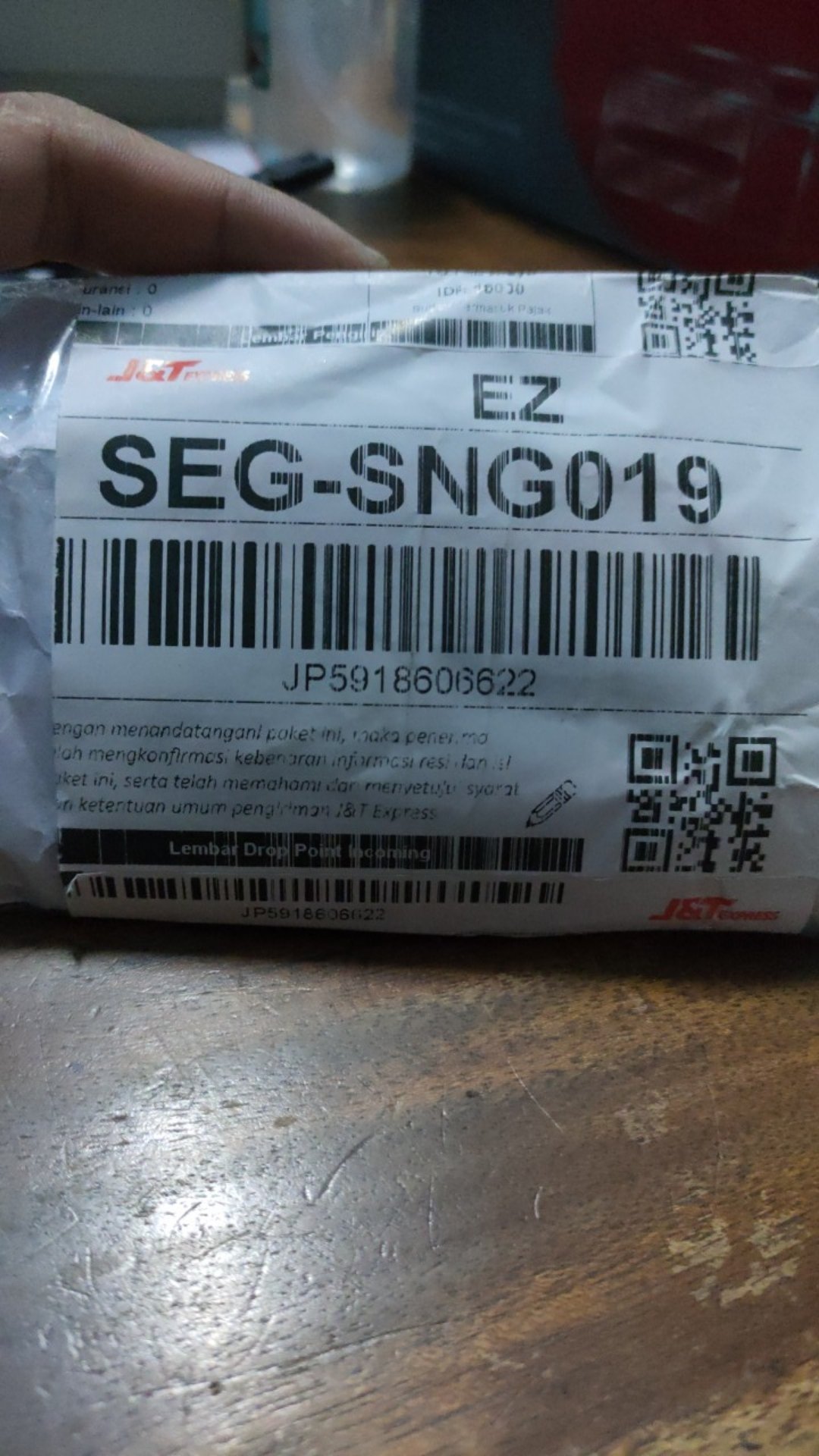 Paku Kuningan -+10 Cm,terlaris, Termurah.satuan Rp.10.000