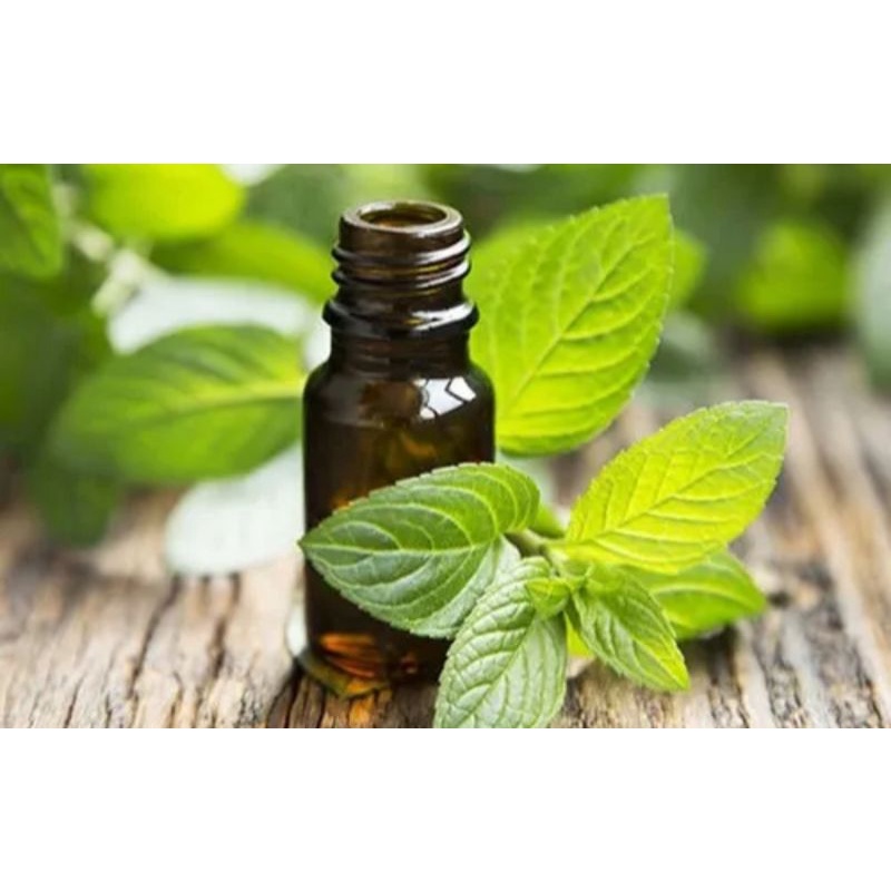 SPEARMINT OIL 100% PURE ESSENTIAL OIL 250ML,500ML,1000ML