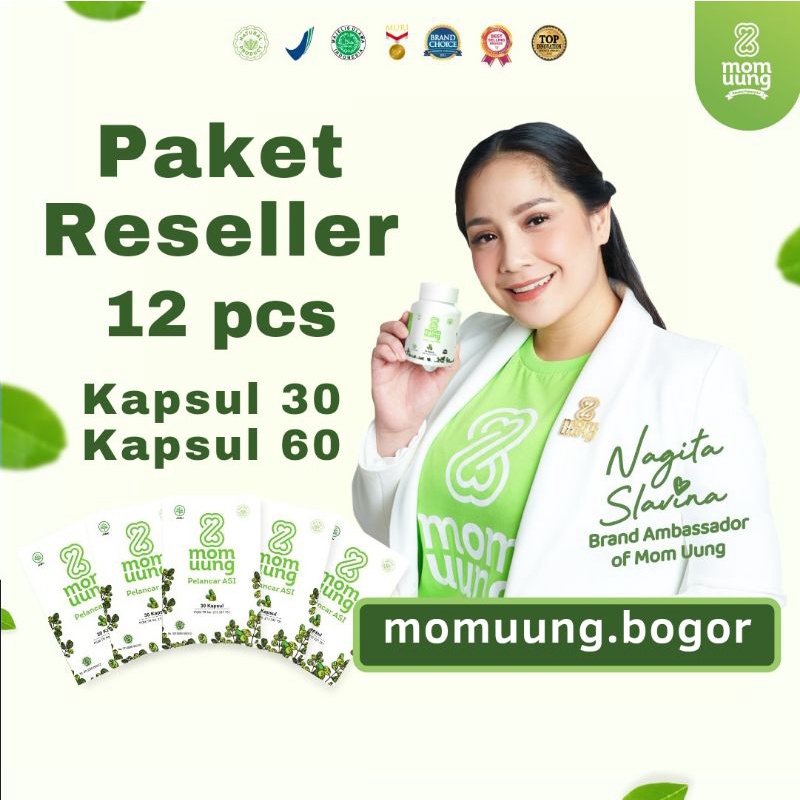 PAKET RESELLER ASI BOOSTER MOM UUNG HARGA GROSIR MOMUUNG