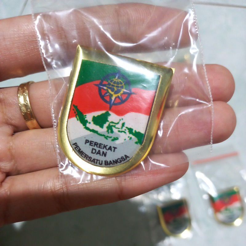 pin pemersatu bangsa