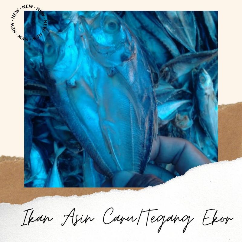 

IKAN ASIN CARU/TEGANG EKOR 250 GRAM