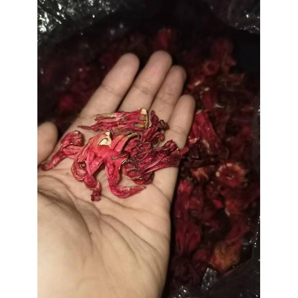 

Mutu t3rjamin[bisa COD] 500 gr DAN 1 Kg BUNGA ROSELLA MERAH KERING KUALITAS PREMIUM LANGSUNG PETANI