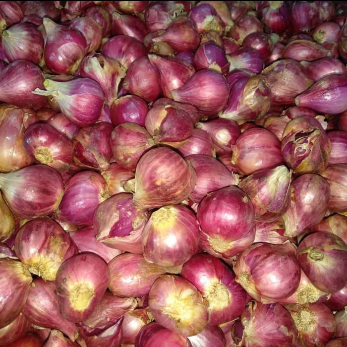 

BAWANG MERAH BREBES SUPER