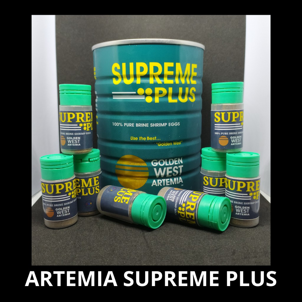 Paket Kultur Aerator 2 LUBANG Artemia Supreme Plus Amara