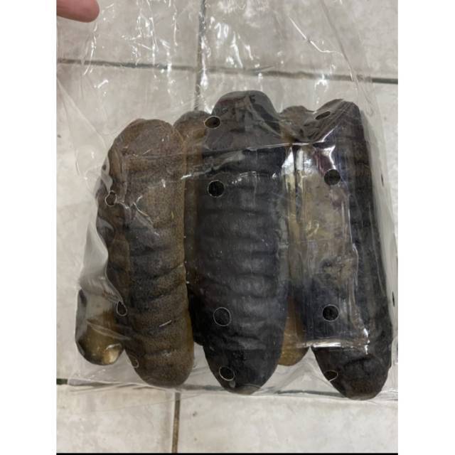 Teripang Laut / Haisom Asli Belitung 1 Kg (Isi 10)