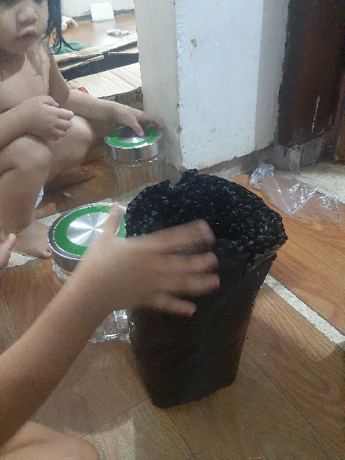 Toples Kaca Canister Tps 5 Slc Kedawung Kig