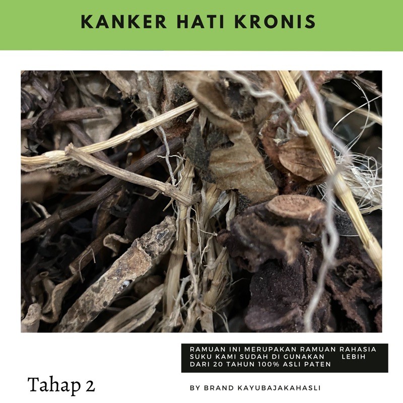 

PAKET Kanker/Tumor HATI kronis racikan dayak paten paket 1 bulan
