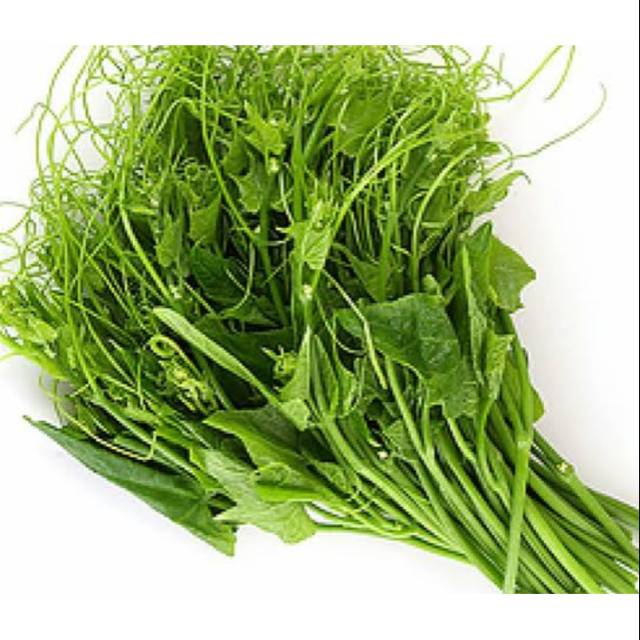 

Daun Pucuk Labu Organik 250gr