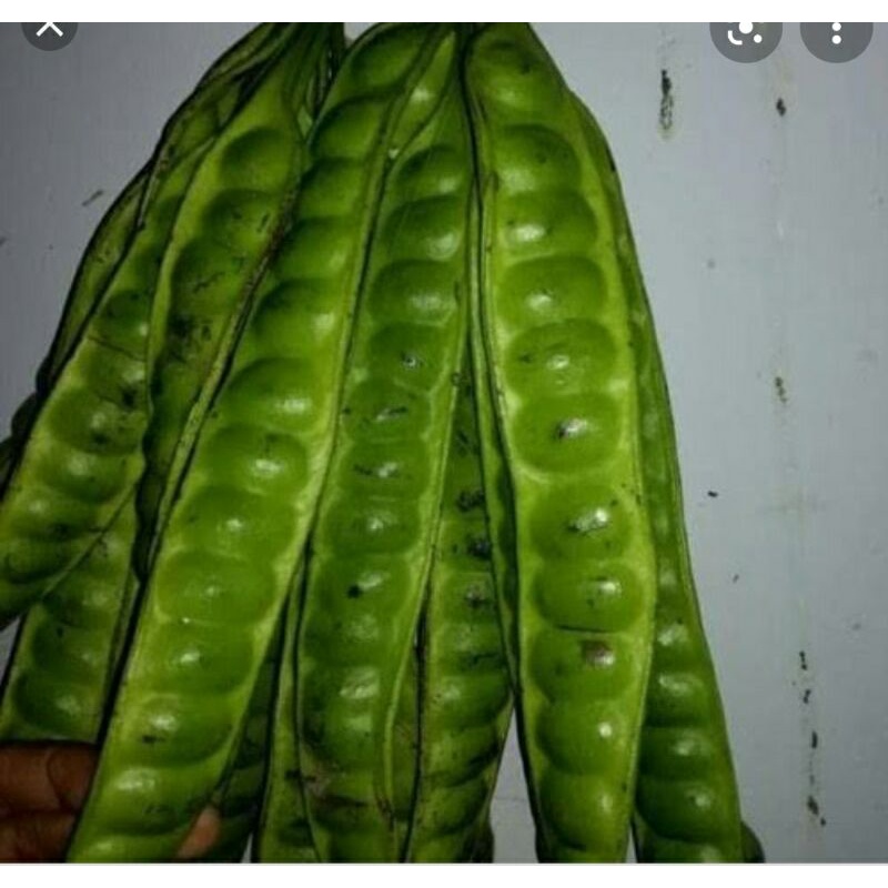 

Pete 2 biji