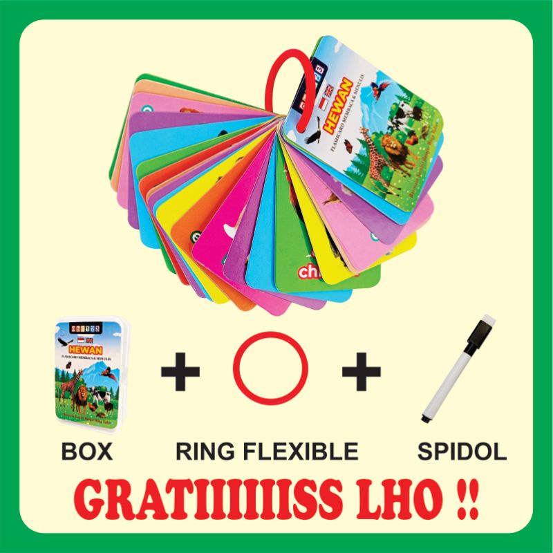 Flash Card Wipe Clean ( BONUS RING + SPIDOL + BOX ) Mainan Edukasi Flashcard Kartu Pintar Anak